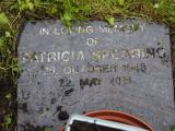 image of grave number 949453